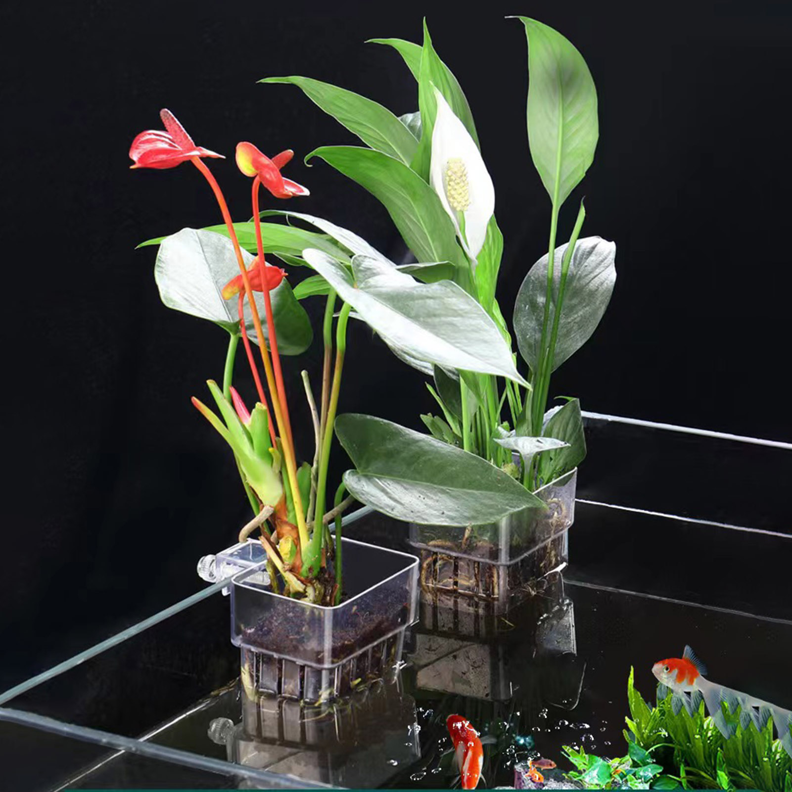 Aquarium Plant Holder - Transparante acryl plantenhouder, hydrocultuur plantenmand voor