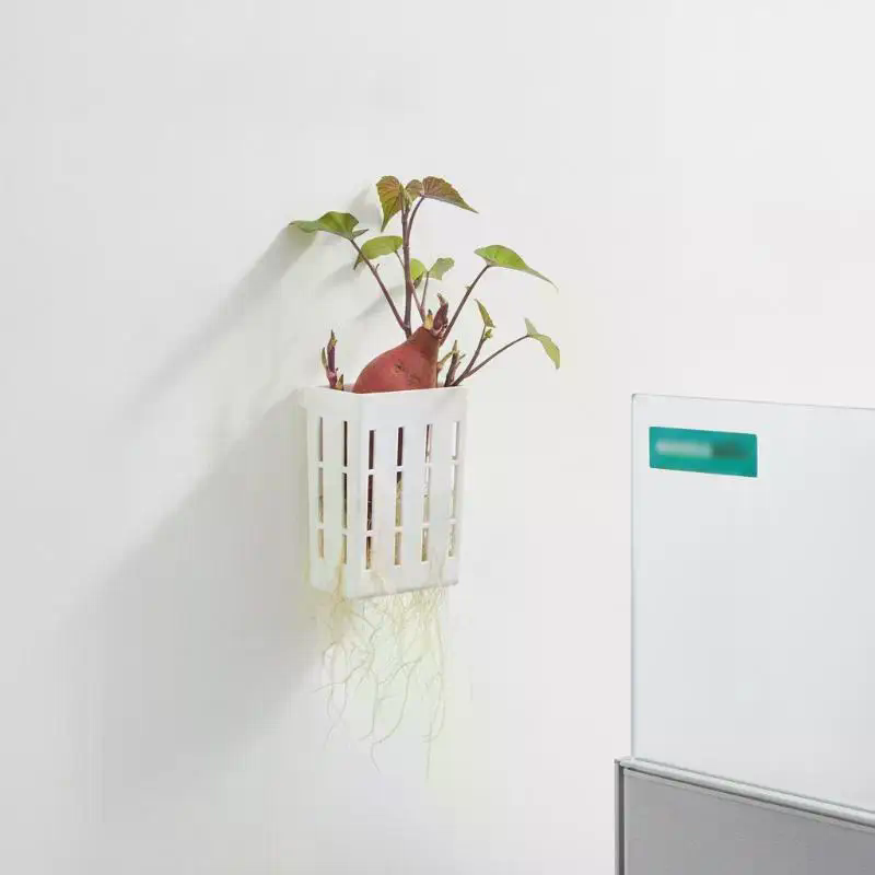 1 Stuks Hydroponische Onderste - Planted Tank recensie en prijs