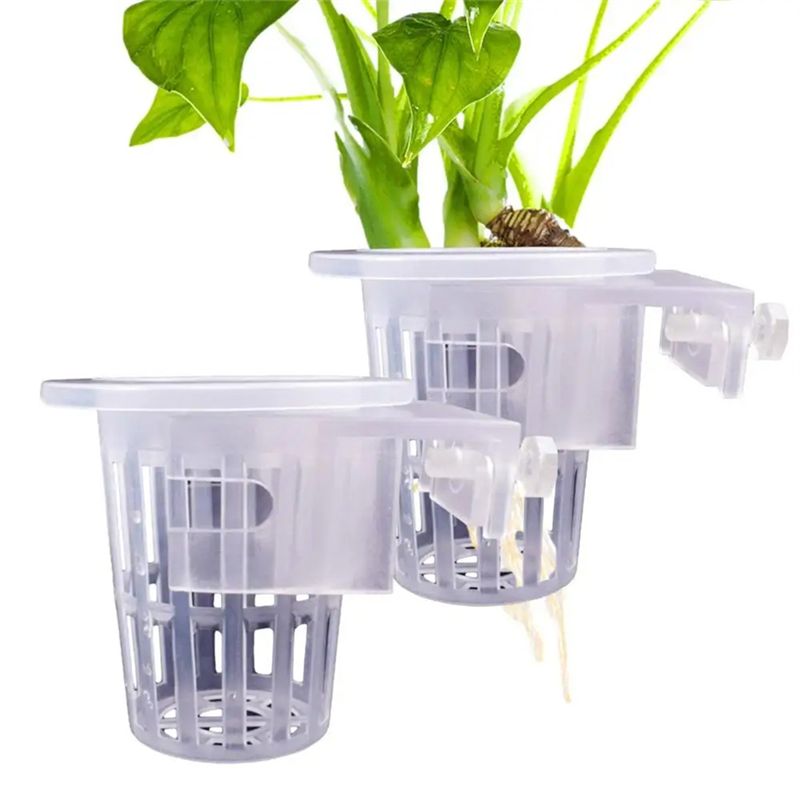 A7THK-2 stuks transparante han - Aquarium Plant Holder recensie en prijs