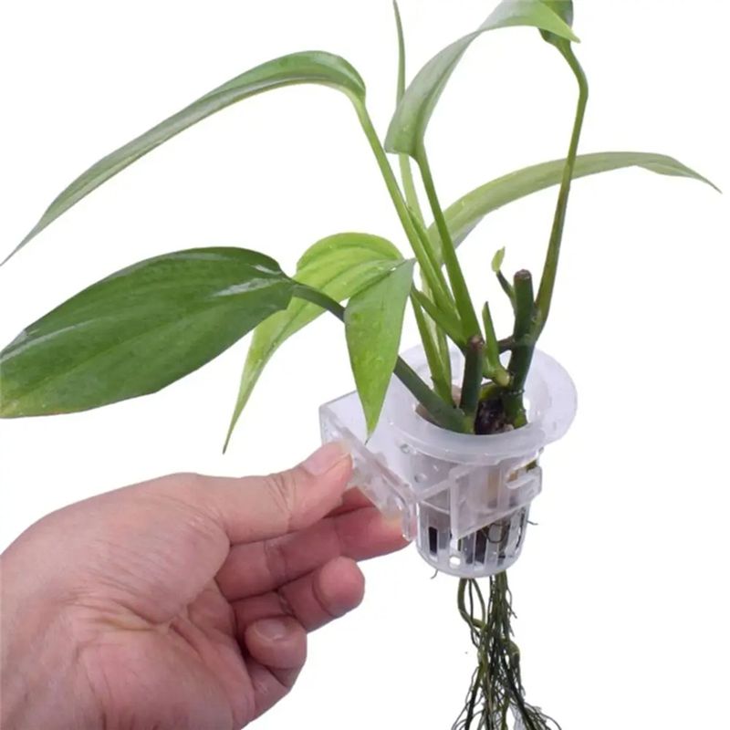 A7THK-2 stuks transparante han - Aquarium Plant Holder recensie en prijs