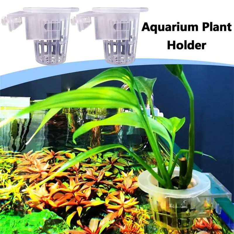 A7THK-2 stuks transparante han - Aquarium Plant Holder recensie en prijs